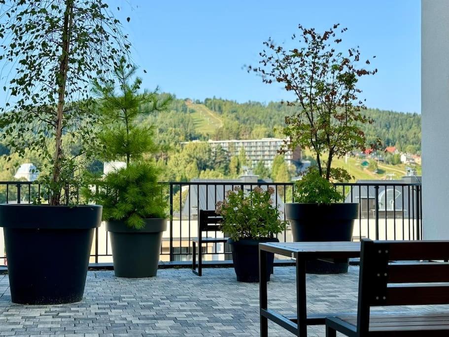 Art & High Studio Z Parkingiem Podziemnym Krynica-Zdrój Exterior foto